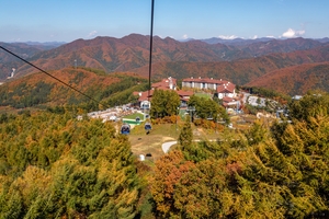 “강원 가을단풍, 운탄고도 케이블카에서 감상하세요”