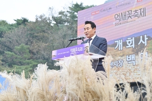 [포토뉴스] 2024포천산정호수명성산억새꽃축제 개막