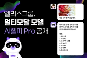 [교육업계 소식] 엘리스그룹 ‘AI헬피 Pro’ 공개, 위버스브레인 비즈니스 교육 AI 개발, 웅진씽크빅 ‘책다른구독’ 유초등 서비스 출시