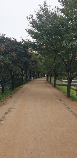 대구 동구, 금호강변 제방 마사길 전 구간 조성 완료