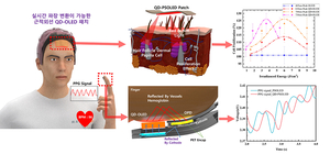 양자점-OLED 패치로 탈모 치료 가능성… 모발세포 증식 효과 확인