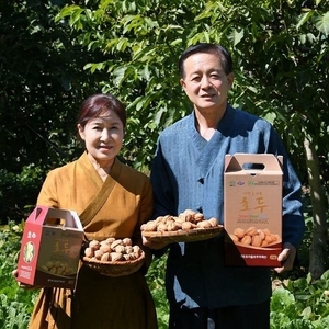 예천호두, 대한민국 과일산업대전 산림과수분야 ‘장려상’ 수상