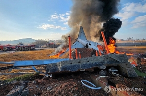 [종합] 181명 탑승 제주항공 여객기, 무안공항서 추락…28명 사망