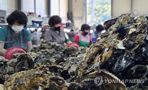 한국, 프랑스·중국 넘어 2030년 굴 수출 세계 1위 노린다