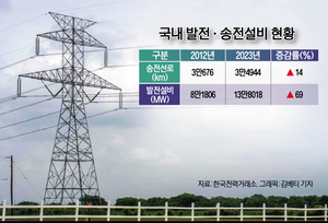 [에문타파-전력망] 반도체·재생에너지 무용지물 될라…전기 실어나를 전력망 태부족