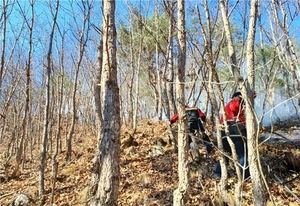 세종시 전동면 산불, 49분 만에 진화